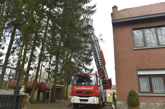 Brandweer nog in actie na stormweer - Beringen