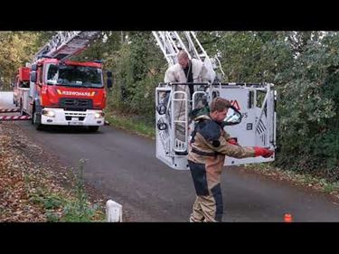 Brandweer vernietigt nest Aziatische hoornaars - Beringen