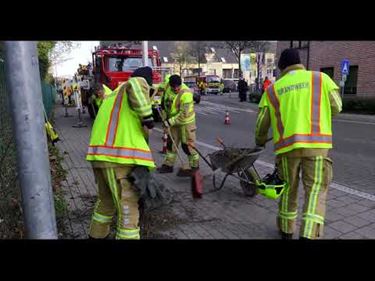 Brandweer verwijdert oude roekennesten - Pelt