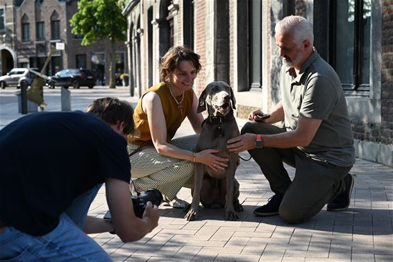 Bree en de hondenambassadeurs - Bree