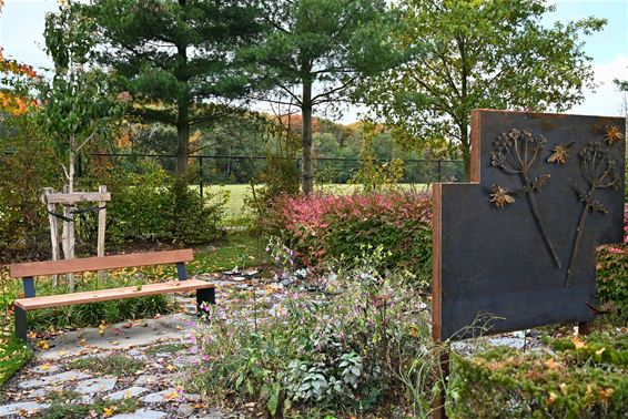 Bree - Bree staat stil bij sterrenkindjes