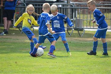 Breugelcup in Kleine-Brogel - Peer