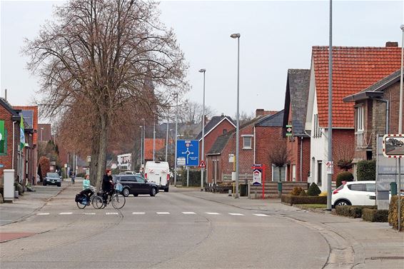 Breugelweg: bomen weg tijdens krokusvakantie - Overpelt