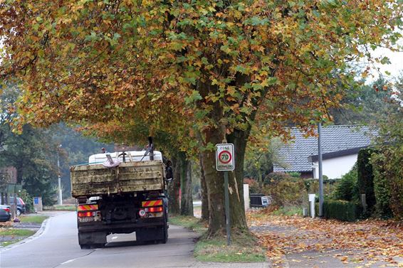 Breugelweg wordt heraangelegd - Overpelt