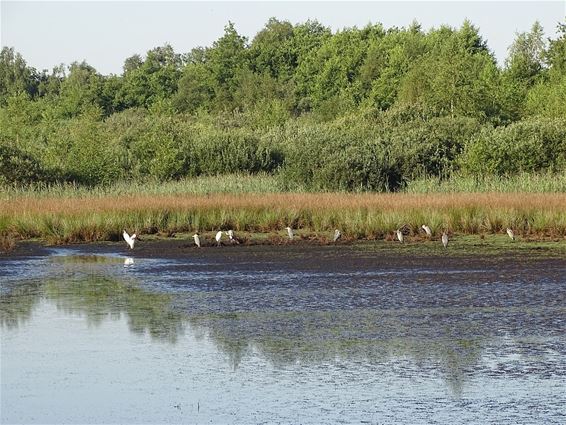 Broekven droogt uit - Oudsbergen