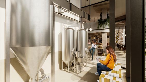 Brouwland lanceert stadsbrouwerij in Hasselt - Beringen
