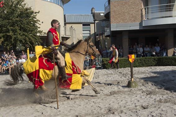 'Bruegel in Beringen' afgelast! - Beringen