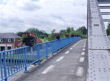 Brug 9 in Barrier in de bloemetjes - Lommel