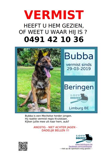 Bubba vermist - Beringen