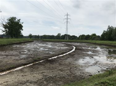 Bufferbekken Molendijk terug proper - Beringen