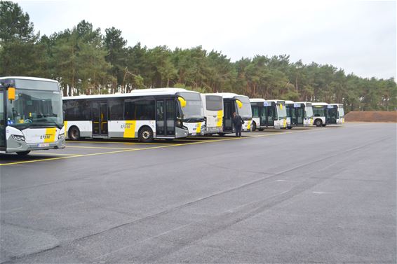 Bussen verhuisd van Adelberg naar Maatheide - Lommel