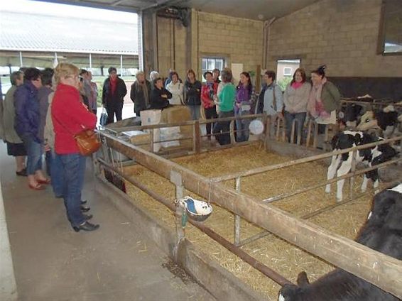 Buurten op de boerenbuiten - Hamont-Achel