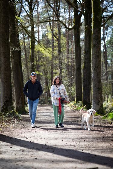 Campagne 'Honden aan de leiband' - Beringen & Leopoldsburg
