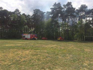 Chiro Koersel voorkomt bosbrand - Beringen