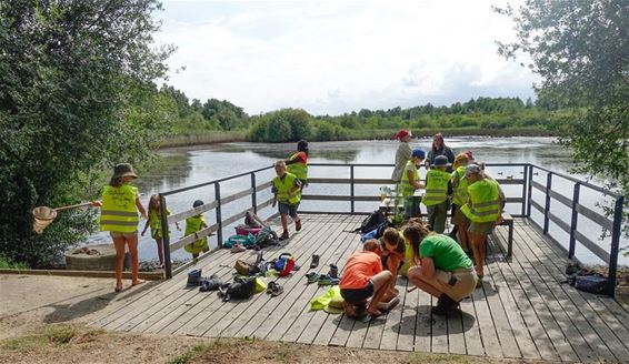Chiro leerde Oudsbergense natuur kennen - Oudsbergen