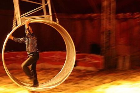 Circus: prachtige voorstelling, geen volk - Lommel