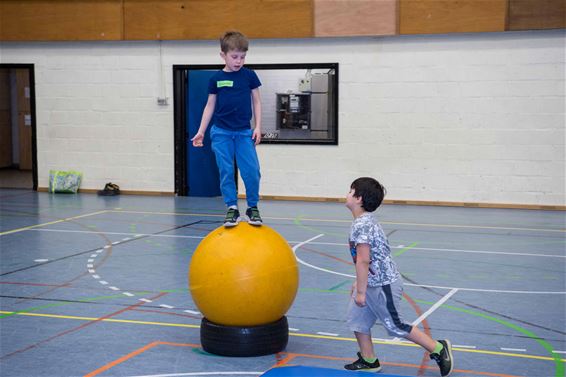 Circuskamp De Terrilling - Beringen