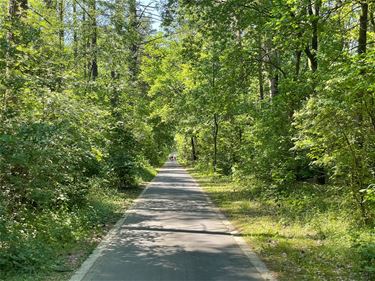 Code geel in bossen - Beringen