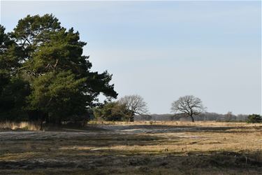 Code geel in natuurgebieden - Beringen