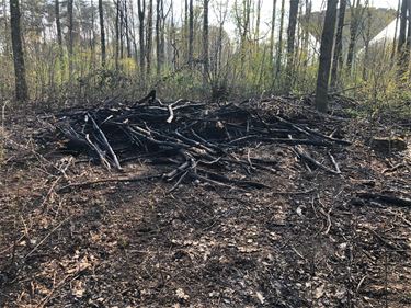 Code Geel voor bossen in 't Kamp - Leopoldsburg