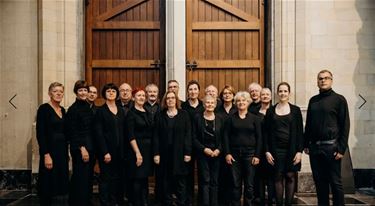 Concert Amicantus - Beringen