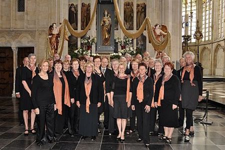 Concinite zong in de OLV-basiliek - Overpelt