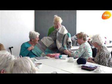 Crea-dames Okra Paal in beeld - Beringen