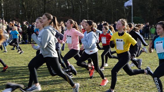 Cross der jongeren - Lommel