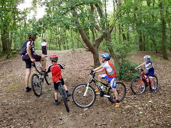 Crossen in de bossen - Meeuwen-Gruitrode