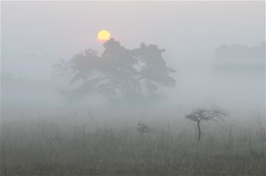 Cursus 'Landschapsfotografie' - Lommel