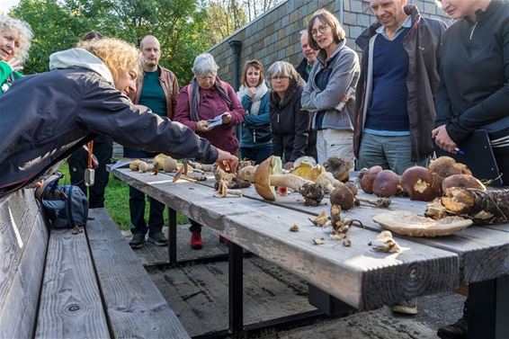 Cursus 'natuurgids' gestart - Pelt