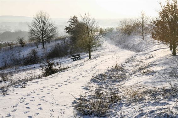 Daar is de sneeuw! - Beringen