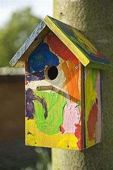 Daar wordt een vogel vrolijk van - Hamont-Achel