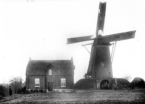 Daar bij die molen(s)... - Hamont-Achel