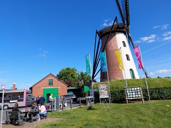 Dag van de buren in Lille - Pelt