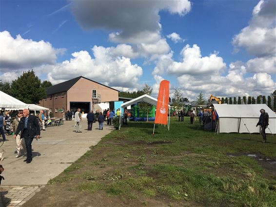 Dag van de Landbouw in blauwebessenplantage - Meeuwen-Gruitrode