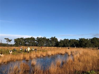 Dag van de Natuur in het Hageven - Pelt