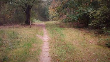 Dag van de Trage Weg - Beringen