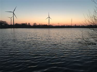 Dag van de Wind - Beringen