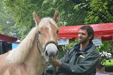 Dag van het Park: foto-impressie - Beringen