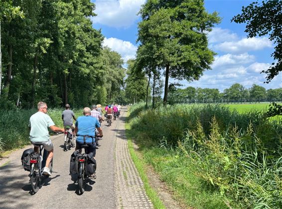 DALO fietst de marathon - Lommel