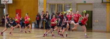 Dames Liga NeLo – Denderbelle: 27-23 - Neerpelt