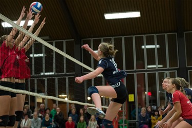 Damesvolley: Overpelt klopt Lovoc - Lommel & Pelt