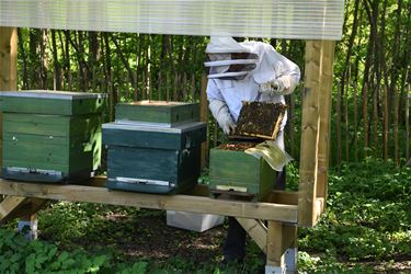 Daniël Vloeberghs: een passie voor bijen - Beringen