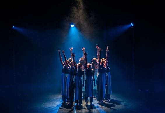 Dans in beweging, de tweede graad - Pelt