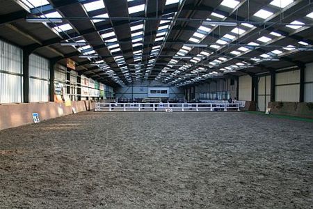 De aaibaarheid van een paard - Overpelt