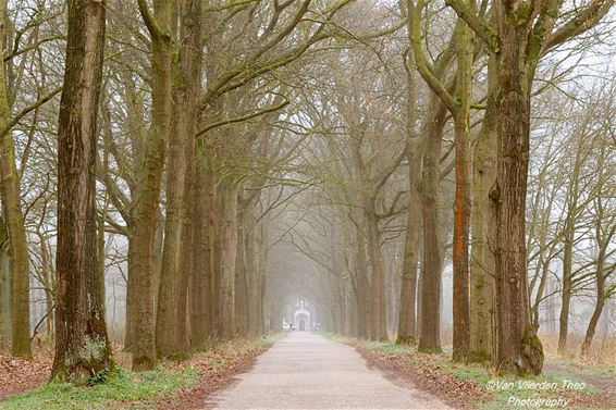 De Achelse Kluis, in nevelen gehuld - Hamont-Achel