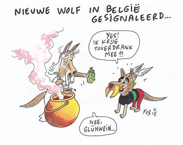 De Antwerpse wolf heet Asterix