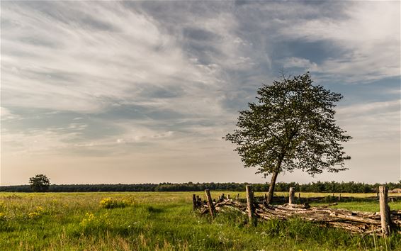 De avond valt over de Vlindervallei - Lommel