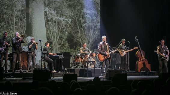 De band tussen Rowwen Hèze en Pelt - Pelt